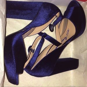 Blue Velvet Shoes
